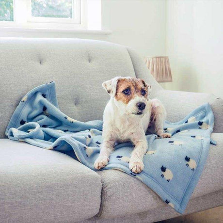 Counting Sheep Fleece Comforter - PET FEEDING BOWL, LITTER TRAY - Beattys of Loughrea