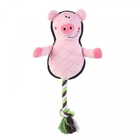 'Fetch - A - Pig' Pet Toy - PET TOYS BOOKS - Beattys of Loughrea
