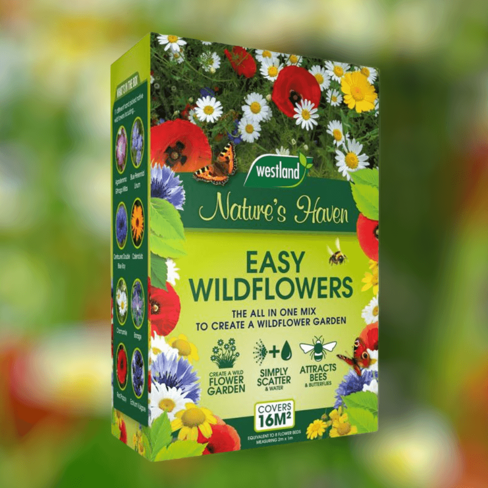 Westland Bee Friendly - Natures Haven Easy Wildflower Seed Mix 4Kg - SEED VEG & FLOWER - Beattys of Loughrea