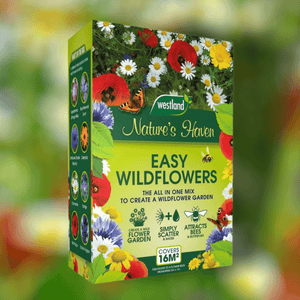 Westland Bee Friendly - Natures Haven Easy Wildflower Seed Mix 4Kg - SEED VEG & FLOWER - Beattys of Loughrea