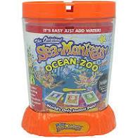 Sea Monkeys Ocean Zoo - ART & CRAFT 2 - Beattys of Loughrea