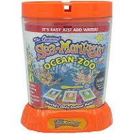 Sea Monkeys Ocean Zoo - ART & CRAFT 2 - Beattys of Loughrea
