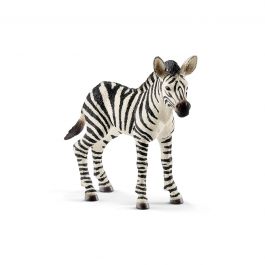 Schleich Zebra Foal 14811 - FARMS/TRACTORS/BUILDING - Beattys of Loughrea