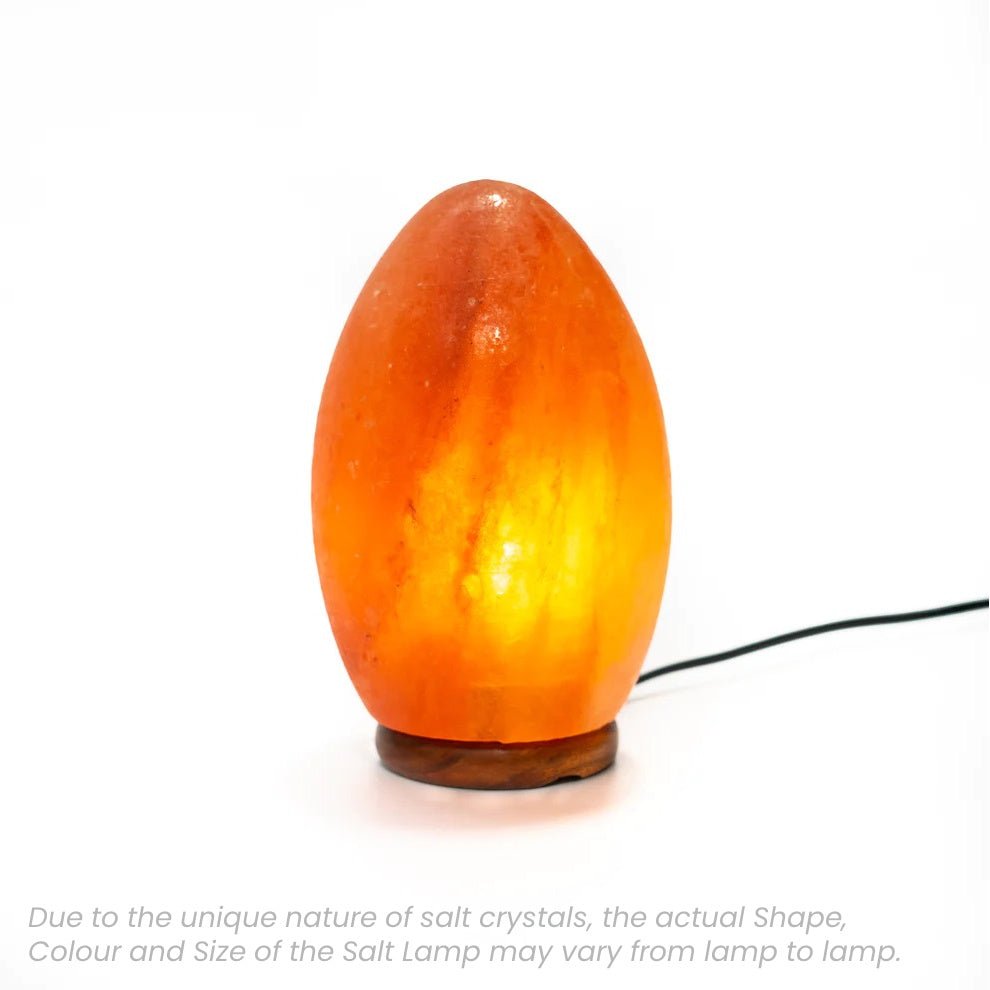 Heaven Spring Natural Salt Lamp Egg - TABLE/BEDSIDE LAMPS - Beattys of Loughrea