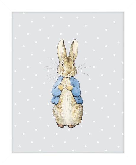 Peter Rabbit I Framed Print - PICTURES, PAINTINGS - Beattys of Loughrea