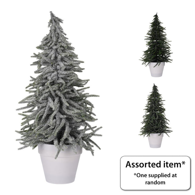Xmas Tree in Pot 58cm - XMAS TREE SMALL - Beattys of Loughrea