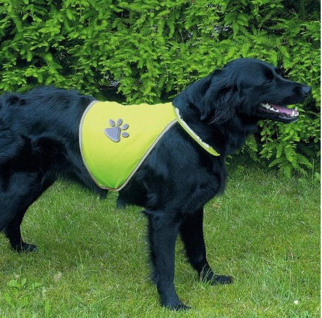 Dog Safety Vest- Small & Medium Assorted. - PET SHAMPOO FLEA PWDR GROOMING - Beattys of Loughrea