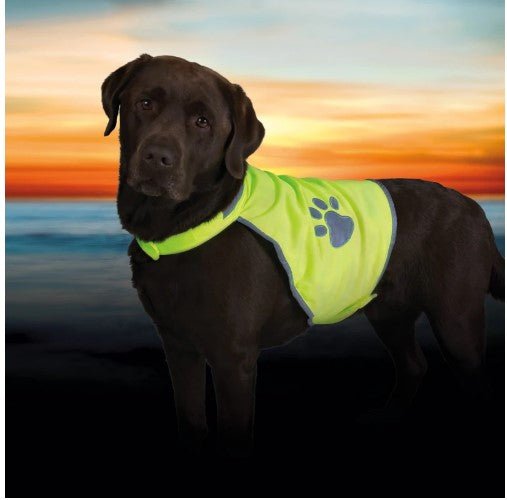 dog Safety Vest- Large & Ex.Large Assorted. - PET SHAMPOO FLEA PWDR GROOMING - Beattys of Loughrea