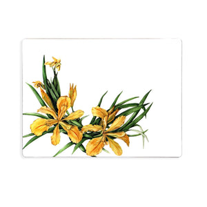 TIPPERARY CRYSTAL Botanical Studio - Set of 6 Placemats - TABLEMATS/COASTERS - Beattys of Loughrea