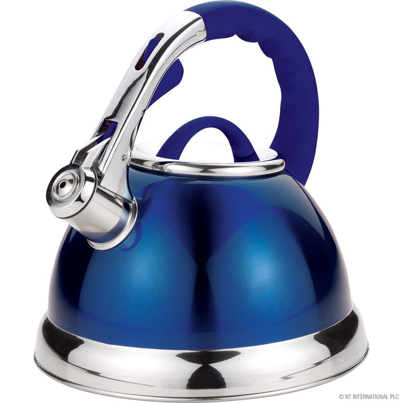 Stainless Steel Whistling Kettle Blue Colour 3.5L - S/STEEL KETTLES - Beattys of Loughrea