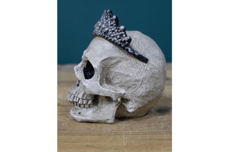 Decorative Skull - ORNAMENTS - Beattys of Loughrea