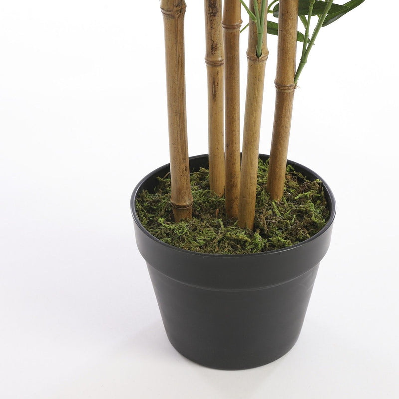 Bamboo Artificial Plant in Pot 155cm - POTTED PLANTS - DRY ORNAMENTAL - Beattys of Loughrea