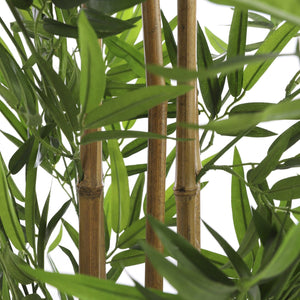 Bamboo Artificial Plant in Pot 155cm - POTTED PLANTS - DRY ORNAMENTAL - Beattys of Loughrea