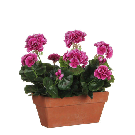 Purple Geranium in Terra Planter L29 x W13 x H40 cm - POTTED PLANTS - DRY ORNAMENTAL - Beattys of Loughrea
