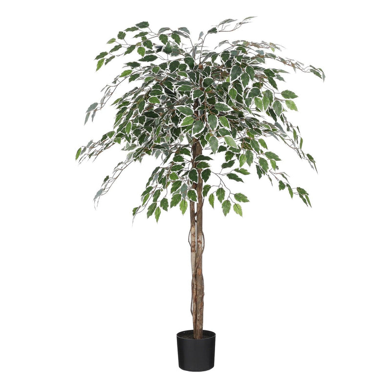 Ficus Artificial Plant in Pot 150cm - Green Variegated - POTTED PLANTS - DRY ORNAMENTAL - Beattys of Loughrea
