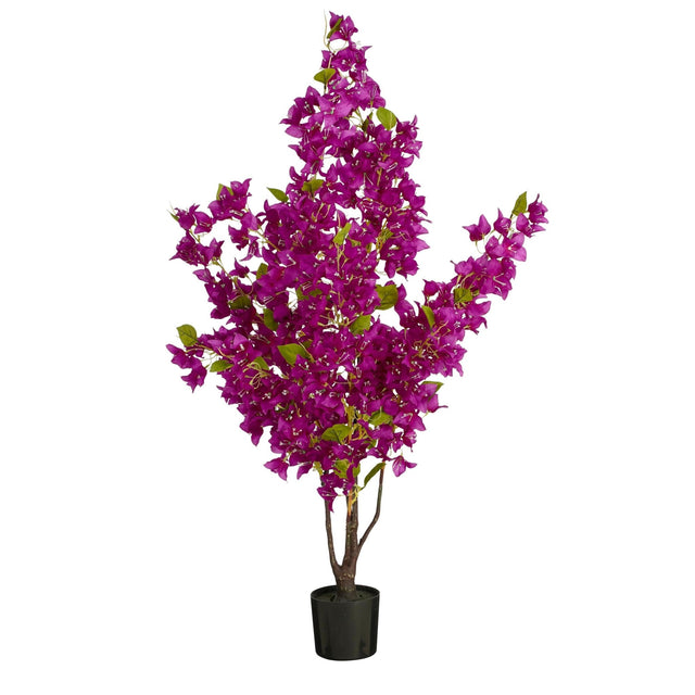 Bougainvillea Plant in Pot Fuchsia 120 x 50cm - POTTED PLANTS - DRY ORNAMENTAL - Beattys of Loughrea