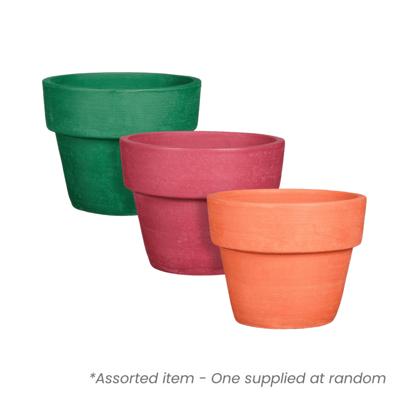 Tunis Round Flower Pot Assorted - One Supplied - PLASTIC FLOWER POT - Beattys of Loughrea