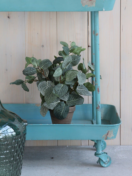 Pilea Artificial Plant in Plant Pot H35 x Ø25cm - POTTED PLANTS - DRY ORNAMENTAL - Beattys of Loughrea