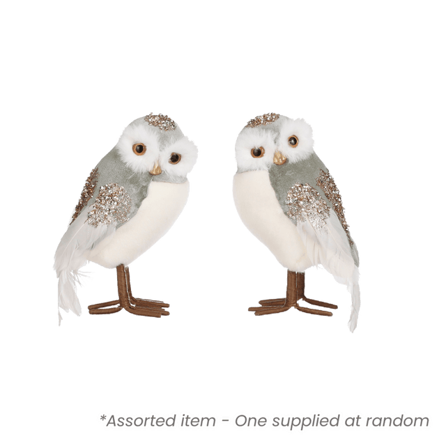 22cm Owl Decoration Assorted - One Supplied - XMAS DECORATIONS - Beattys of Loughrea