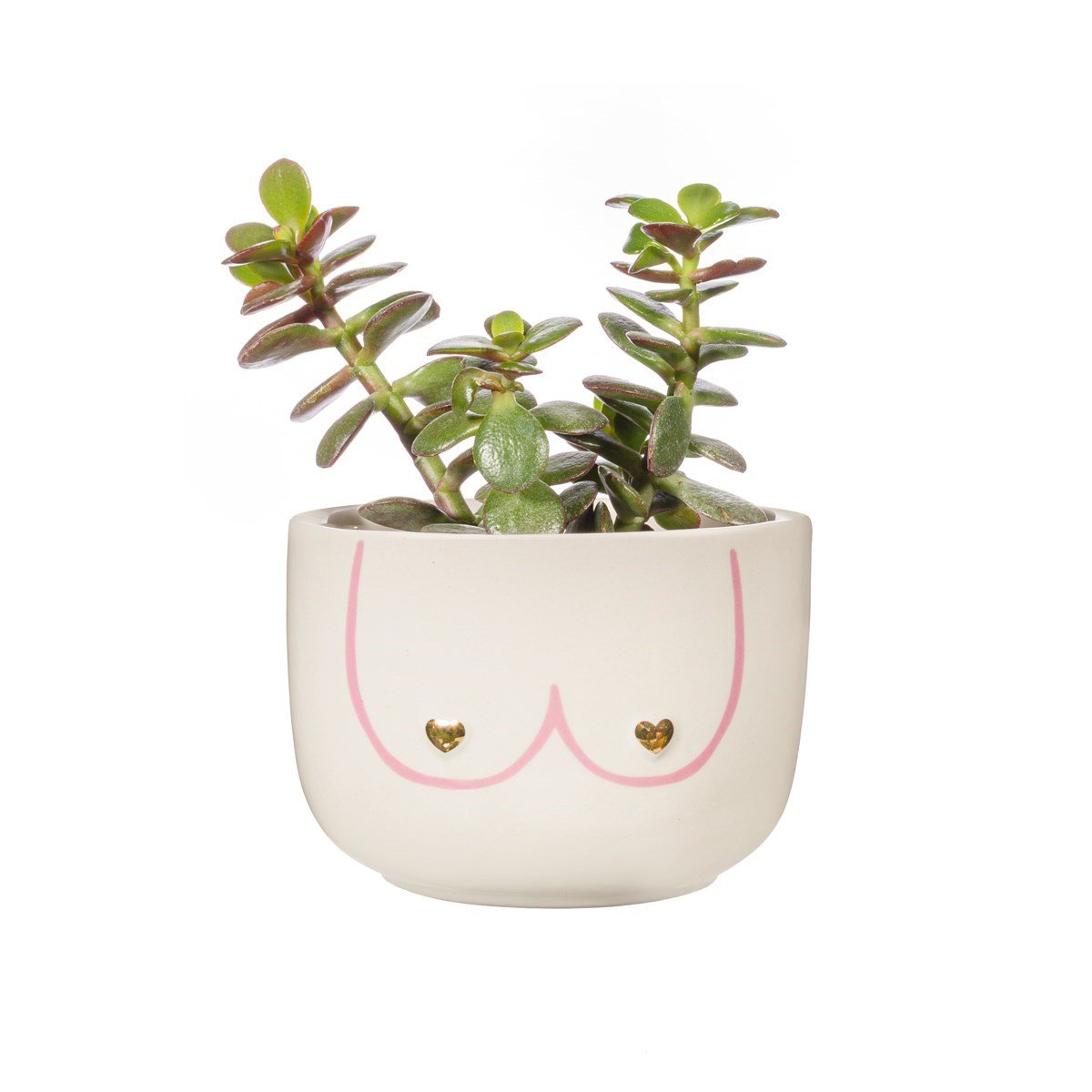 Large Girl Power Boobies White Planter - PLASTIC FLOWER POT - Beattys of Loughrea