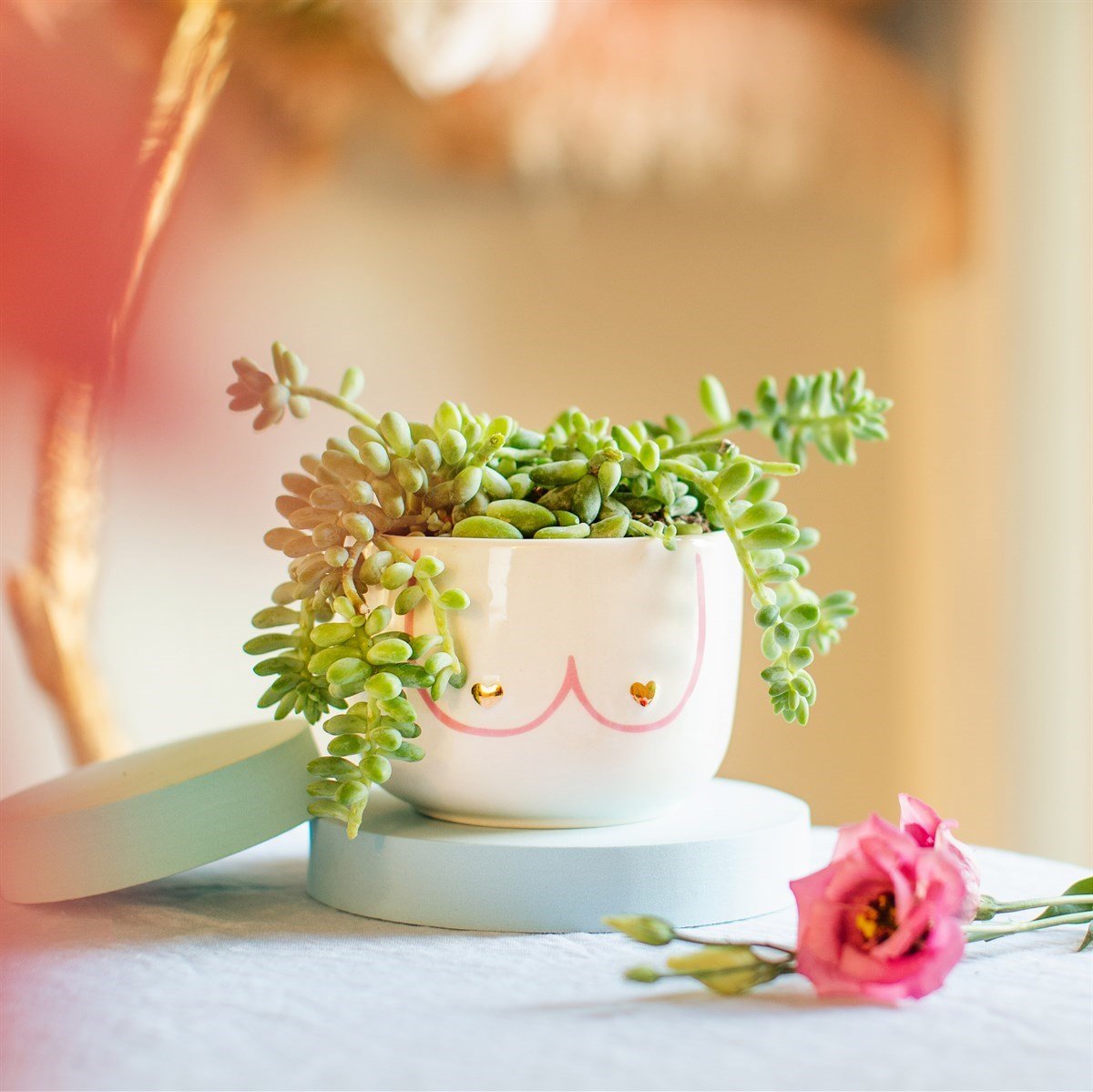 Large Girl Power Boobies White Planter - PLASTIC FLOWER POT - Beattys of Loughrea