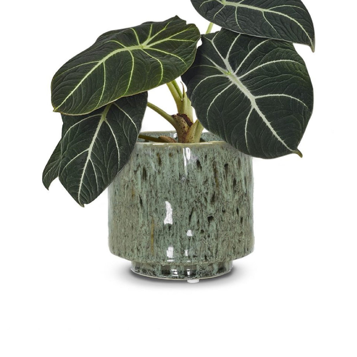 Mös Planter Pot 16cm - FLOWERPOT/VASE/JUG 1 - Beattys of Loughrea