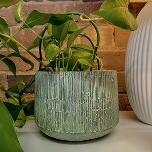 Heno Tapered Planter Pot Lime 16.5cm - FLOWERPOT/VASE/JUG 1 - Beattys of Loughrea