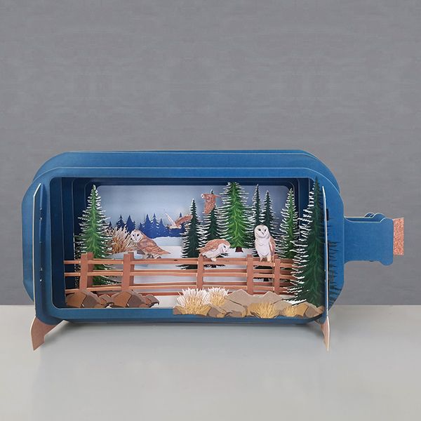 Message in a Bottle 3D Card Owl MIB220 - CARD/GIFTWRAP/GIFTBAGS - Beattys of Loughrea