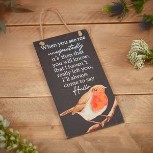 Slate Robin Remberance Plaque With When You See Me Verse - WALL PLAQUE/STATUES - Beattys of Loughrea