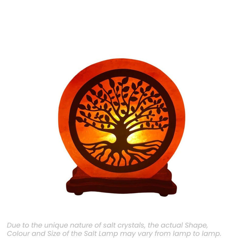Heaven Spring Salt Lamp with Tree of Life Wooden Small - TABLE/BEDSIDE LAMPS - Beattys of Loughrea