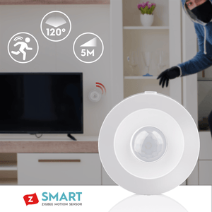 Alpina Smart PIR Motion Sensor (Zigbee) - SECURITY CAMERA/ PRODUCTS - Beattys of Loughrea