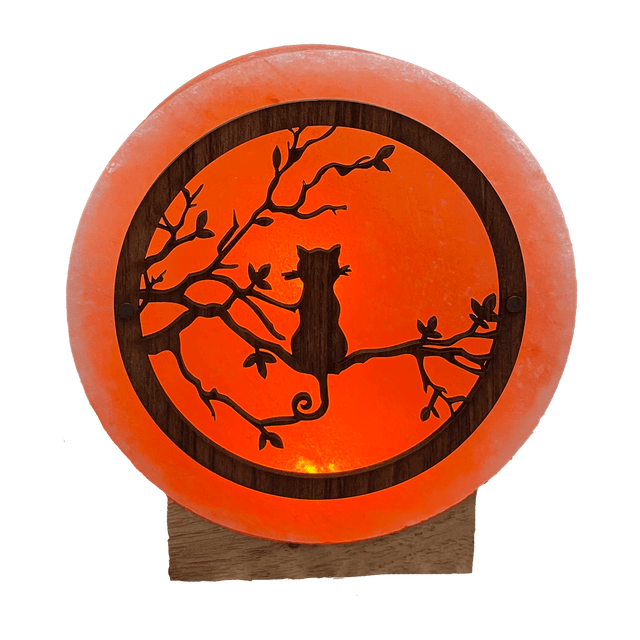 Cat LED Mini Salt Lamp (USB) - TABLE/BEDSIDE LAMPS - Beattys of Loughrea