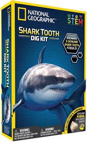 Shark Teeth Dig Kit - ART & CRAFT 2 - Beattys of Loughrea