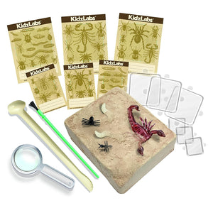 KidzLabs Creepy Crawly Digging Kit - ART & CRAFT/MAGIC/AIRFIX - Beattys of Loughrea