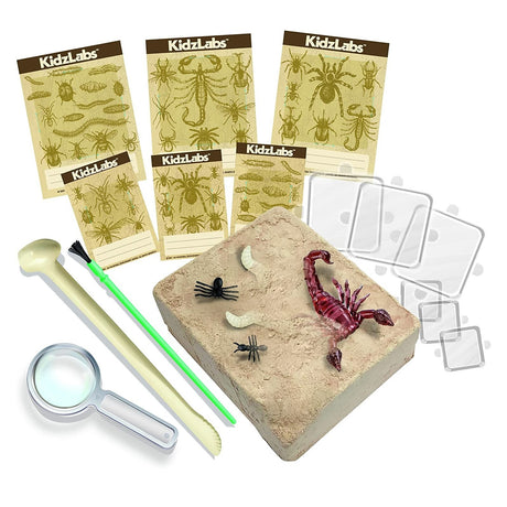 KidzLabs Creepy Crawly Digging Kit - ART & CRAFT/MAGIC/AIRFIX - Beattys of Loughrea