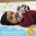 Fisher Price Otter Teether - GENERAL - BLANKETS /BAGS/SAFETY FIRST - Beattys of Loughrea