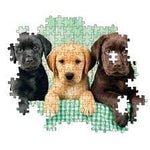 Hqc 1000 Pc Puzzle - Three Labs - Beattys of Loughrea | www.beattys.ie