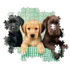 Hqc 1000 Pc Puzzle - Three Labs - Beattys of Loughrea | www.beattys.ie