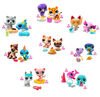 Littlest Pet Shop Pet Pairs 2Pack Assorted - DOLLS - Beattys of Loughrea