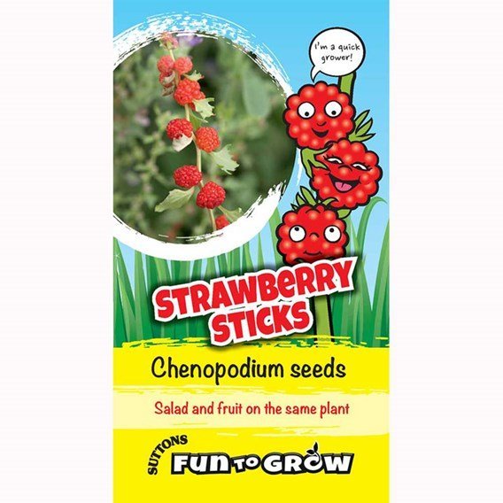 Suttons Strawberry Sticks Ftg - SEED VEG & FLOWER - Beattys of Loughrea