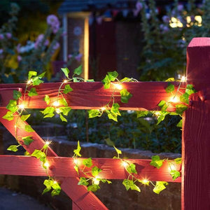 Ivy Firefly Solar String Light, 30 LEDs - SOLAR / GARDEN ORNAMENTS - Beattys of Loughrea