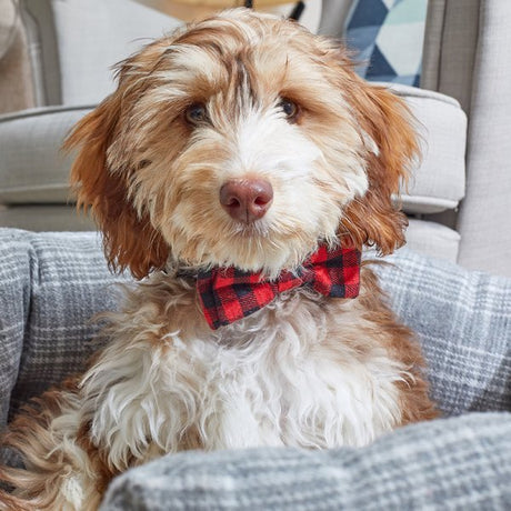 Beau Tie - Red & Red Check - 2 Pack - Beattys of Loughrea | www.beattys.ie