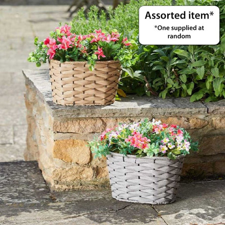 Petal Panniers - SOLAR / GARDEN ORNAMENTS - Beattys of Loughrea