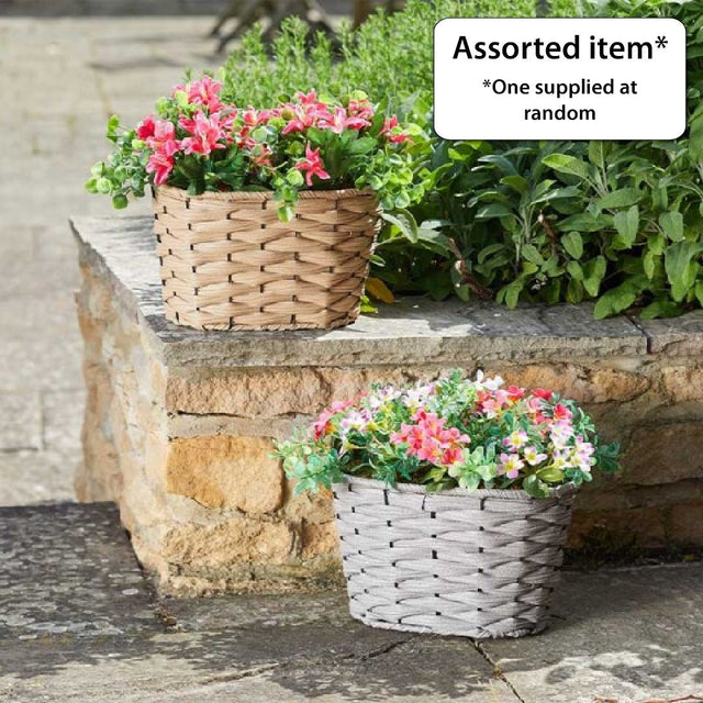 Petal Panniers - SOLAR / GARDEN ORNAMENTS - Beattys of Loughrea