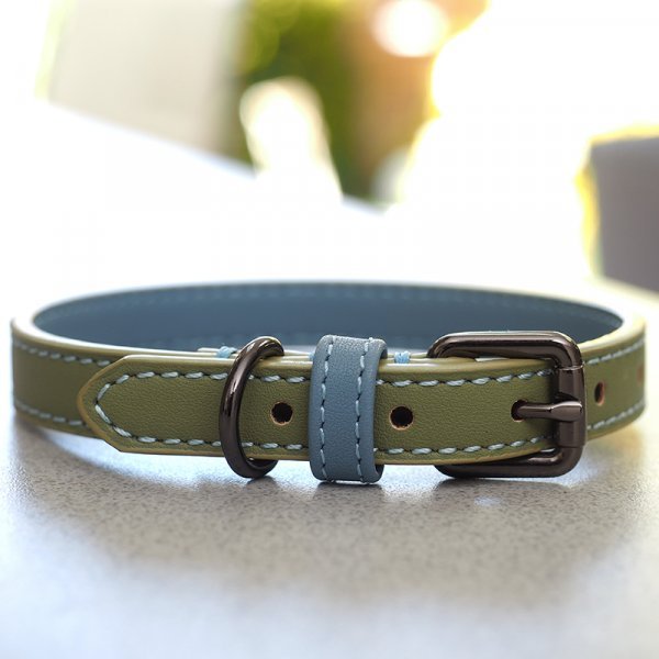 Luxe Leather - Sage - M WalkAbout Dog Collar (38cm-45cm) - Beattys of Loughrea | www.beattys.ie