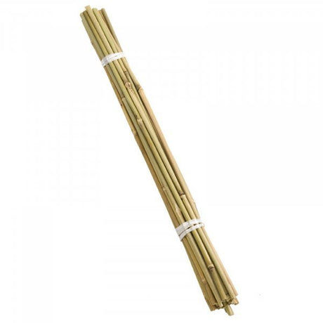 90cm Bamboo Canes - Bundle of 20 - PLANT TIES BAMBOO CANES STRING LABELS GARDEN PEGS - Beattys of Loughrea