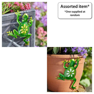 Fancy Frog Pot Hanger - SOLAR / GARDEN ORNAMENTS - Beattys of Loughrea