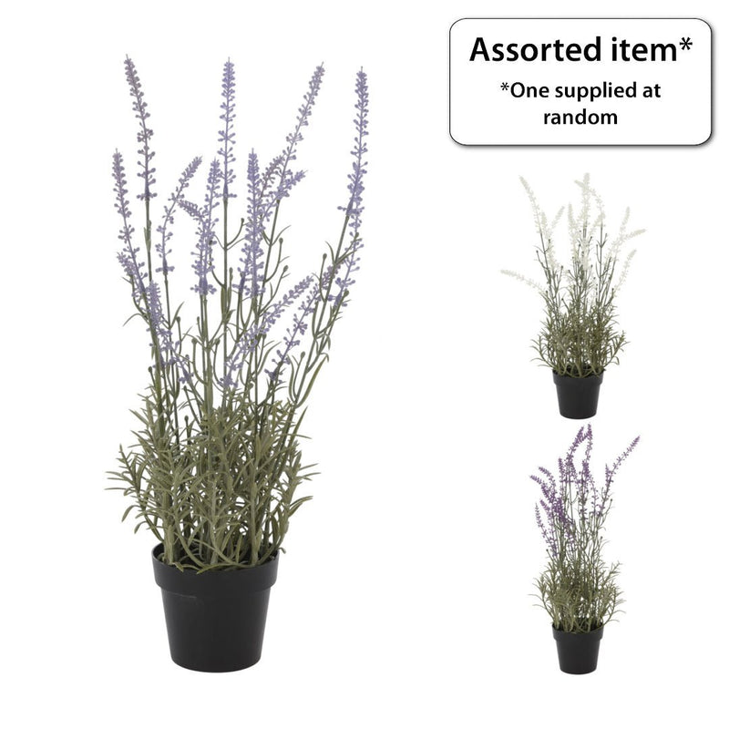Artificial Lavender in Pot 45cm - POTTED PLANTS - DRY ORNAMENTAL - Beattys of Loughrea