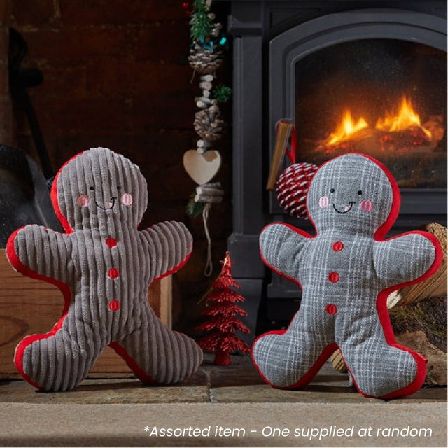 Gingerbread Buddy - PET TOYS BOOKS - Beattys of Loughrea