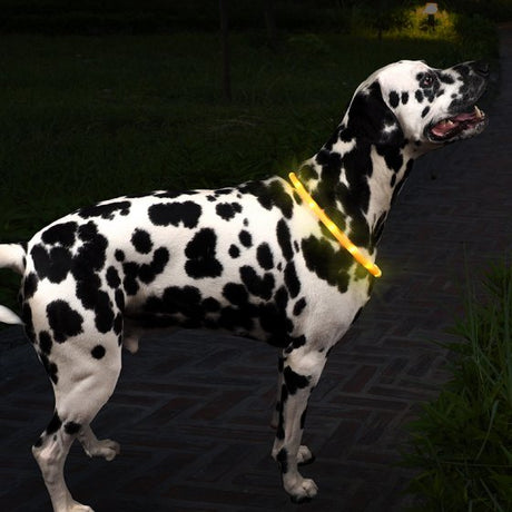 Flash & Go Rechargeable 'See-Dog' Ring - Medium/Large - PET LEAD, COLLAR AND ID, SAFETY - Beattys of Loughrea